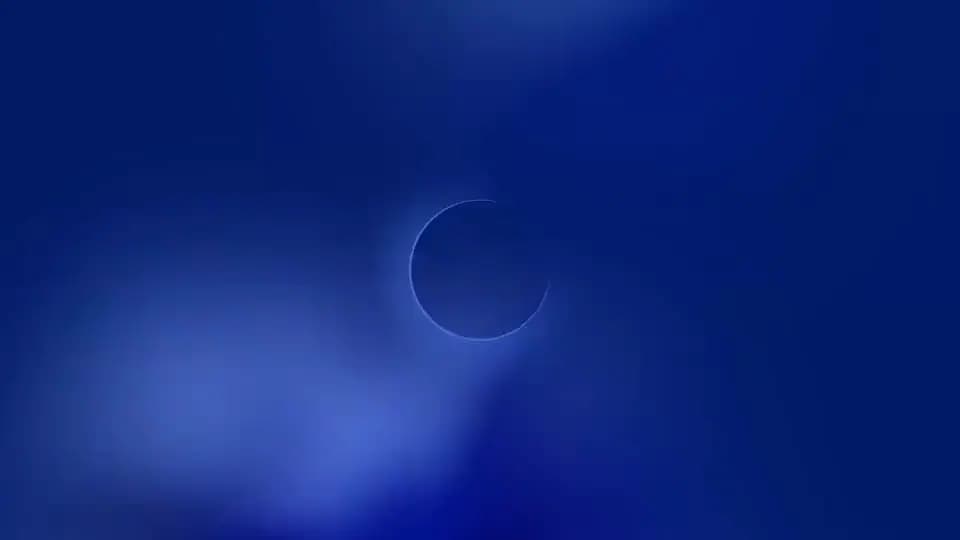 Docstream product preview